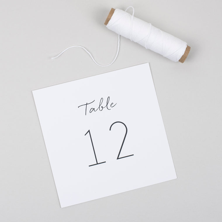 Minimalist Pack of 15 Table Numbers + Top Table Card
