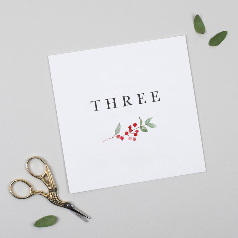 Winter Berry Pack of Table Numbers